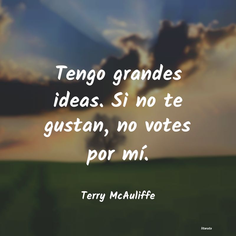 frases de Terry McAuliffe