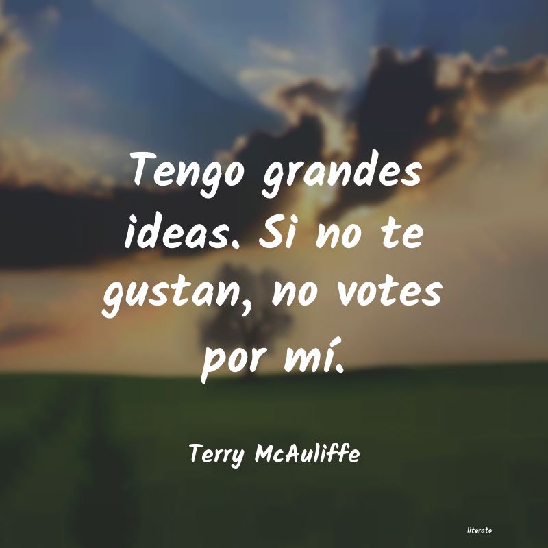 Frases de Terry McAuliffe