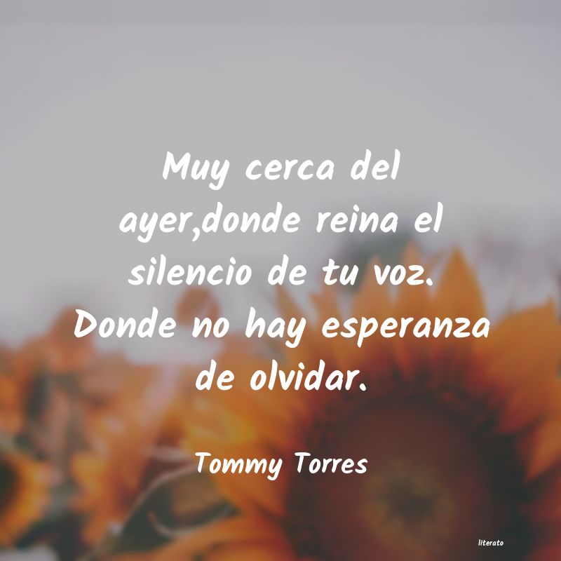 Frases de Tommy Torres