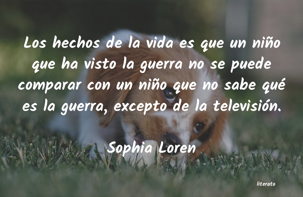 Frases de Sophia Loren