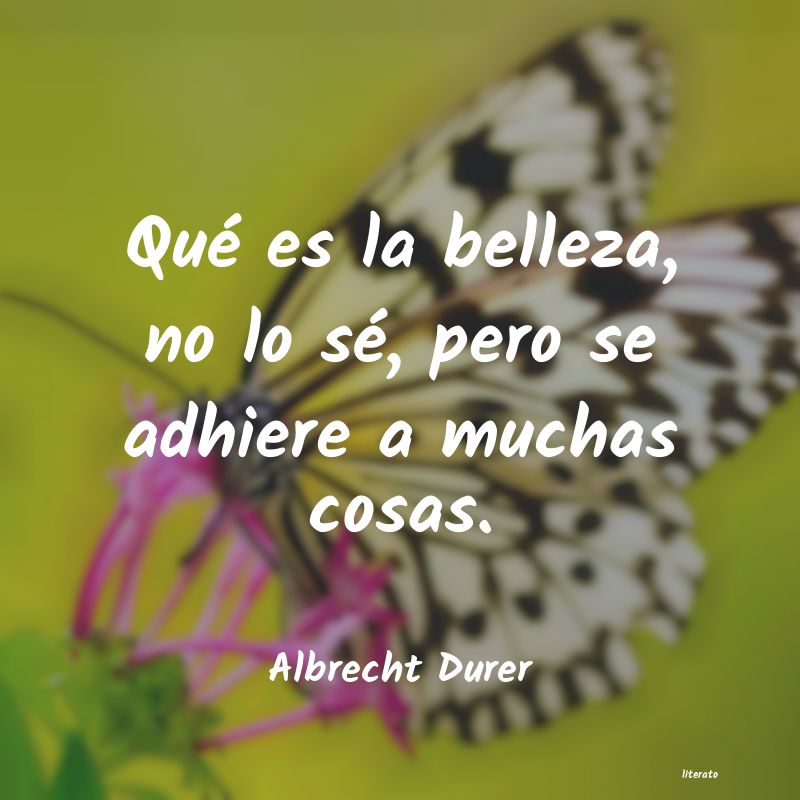 frases de Albrecht Durer