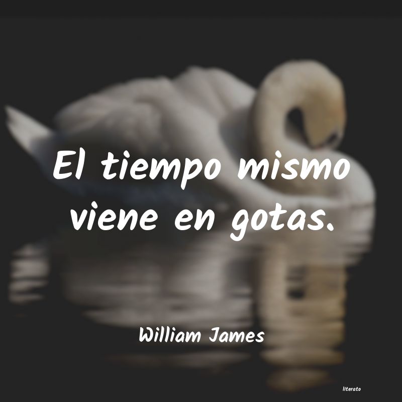 Frases de William James