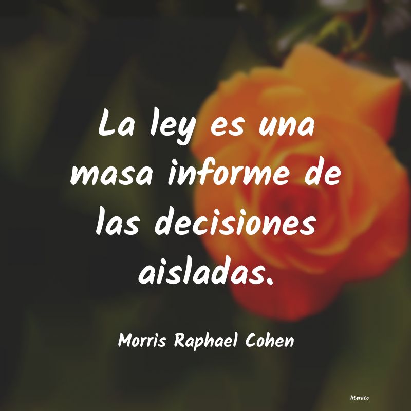 frases de Morris Raphael Cohen