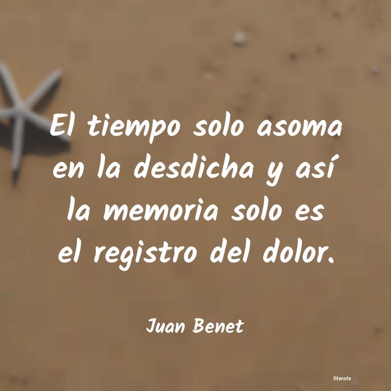 Frases de Juan Benet