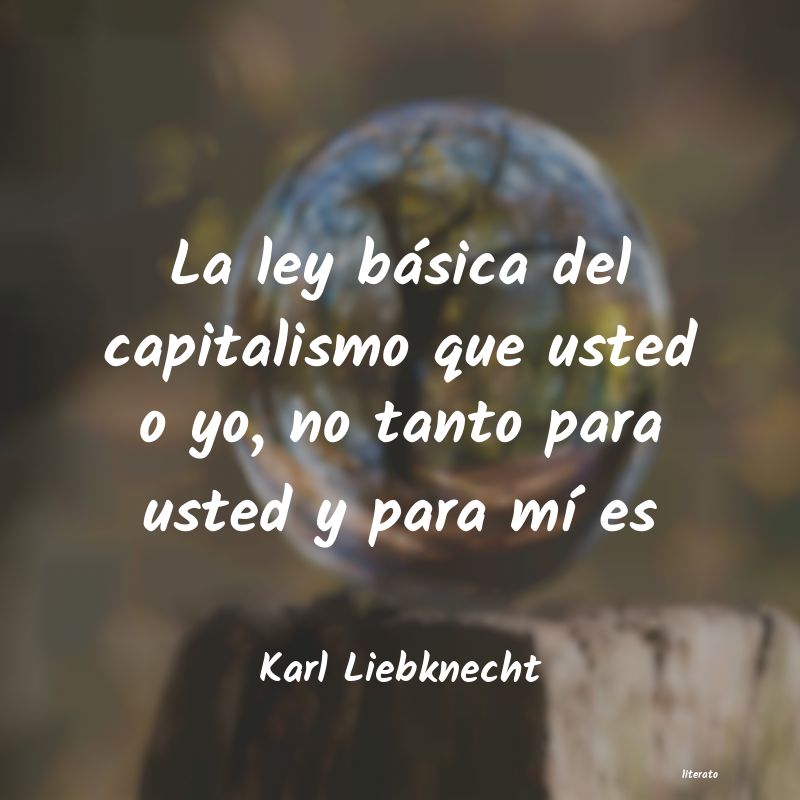 Frases de Karl Liebknecht