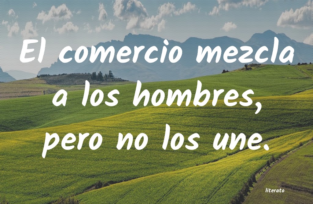 frases para hombres imbeciles