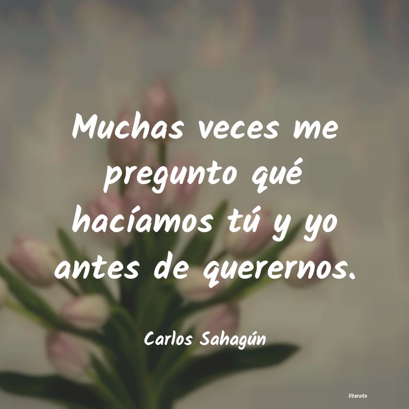 Frases de Carlos Sahagún