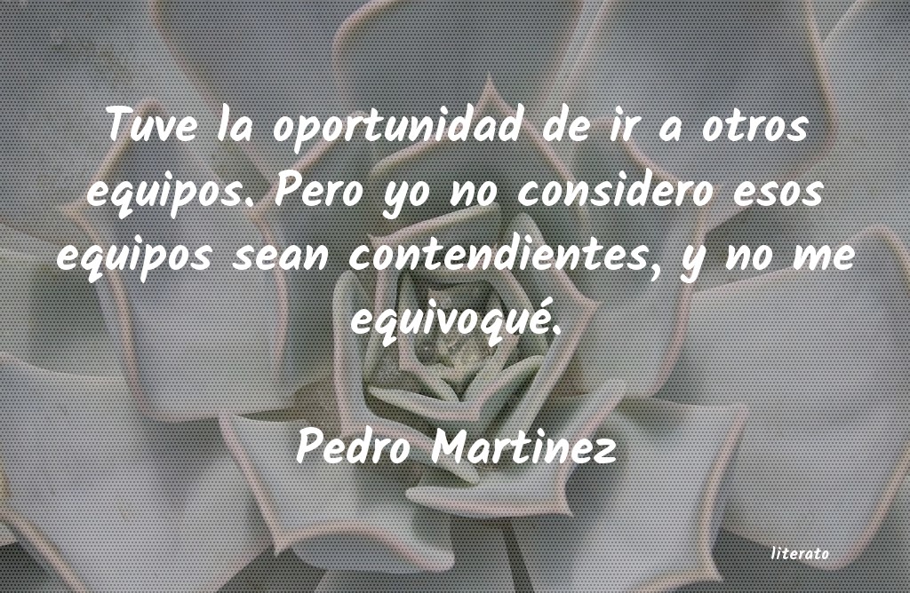 Frases de Pedro Martinez