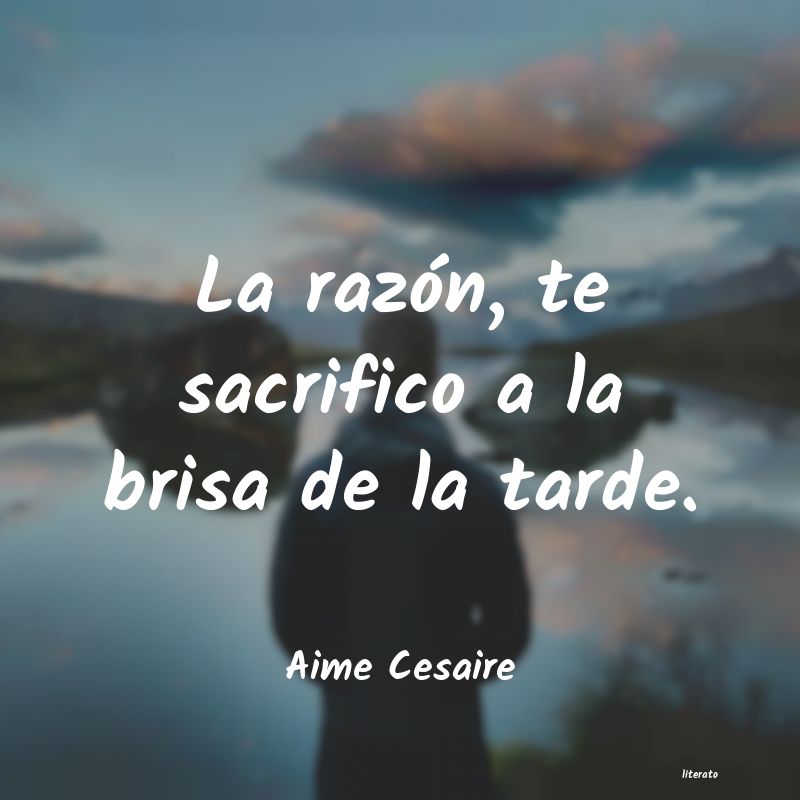 frases de Aime Cesaire
