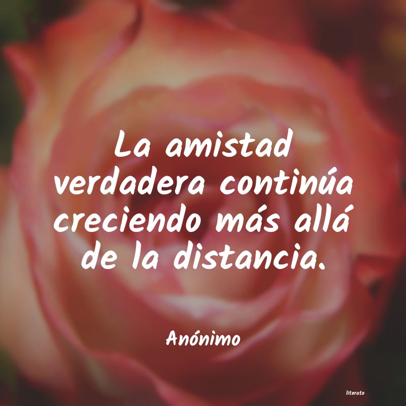 Frases de amistad verdadera - Literato (2)