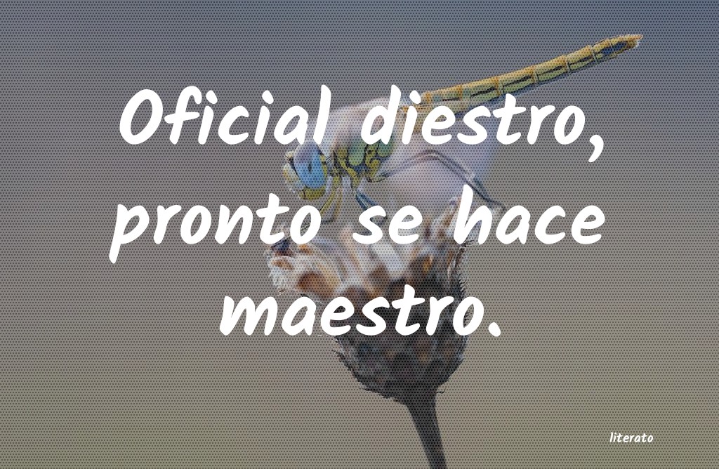 frases