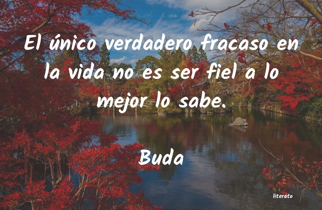 Frases de Buda