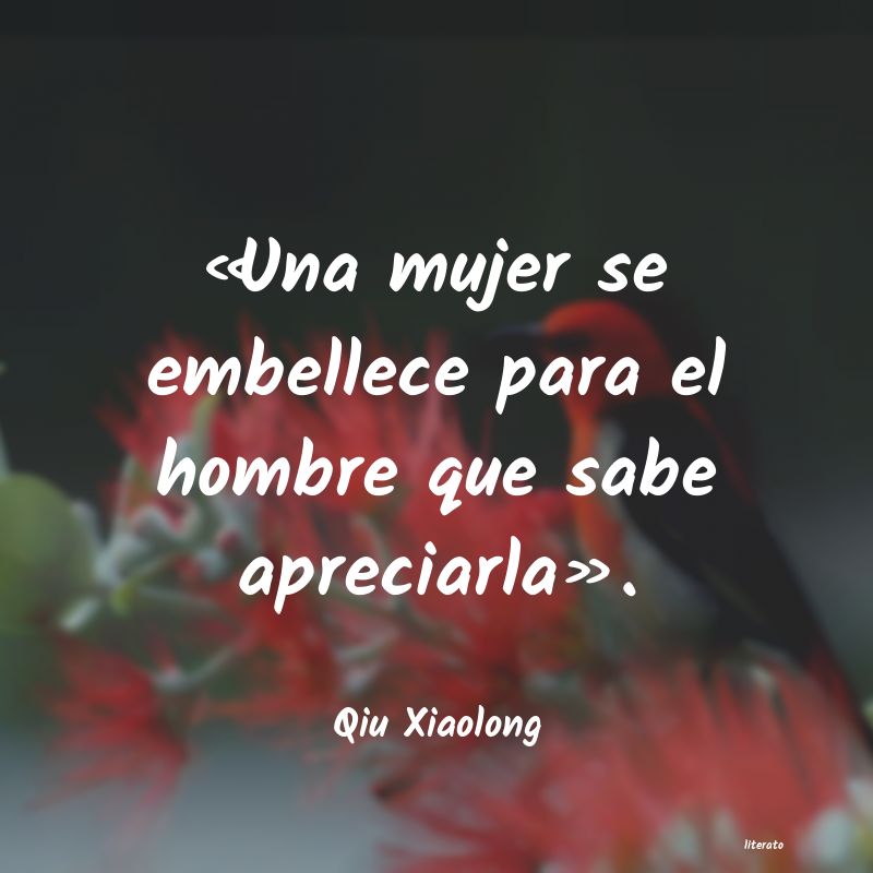 Frases de Qiu Xiaolong