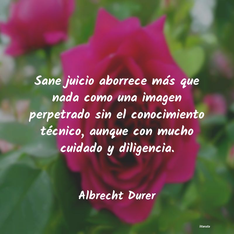 frases de Albrecht Durer