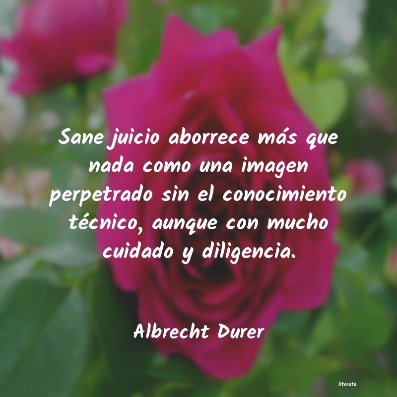 Frases de Albrecht Durer