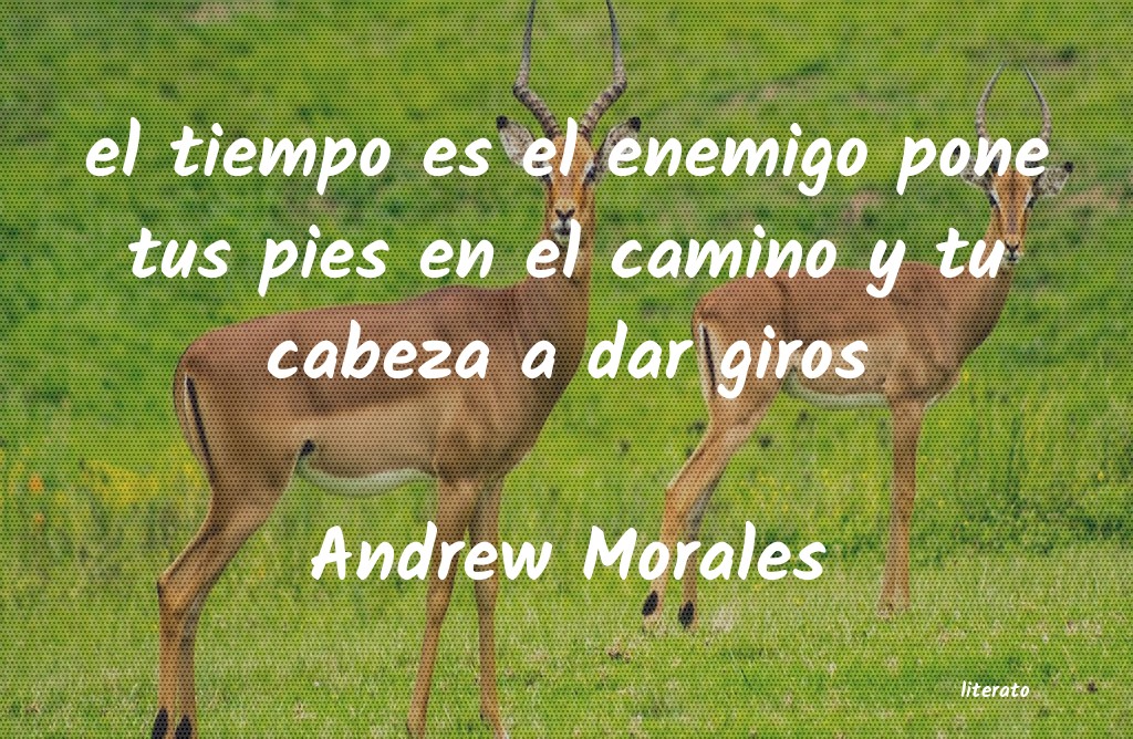 Frases de Andrew Morales