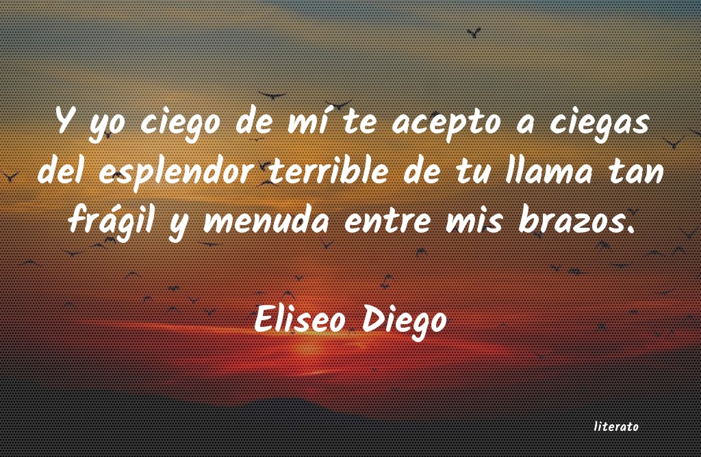 Frases de Eliseo Diego