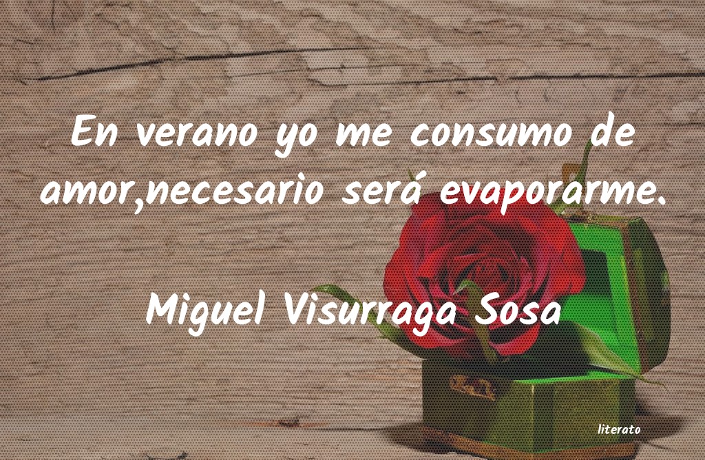 frases de Miguel Visurraga Sosa