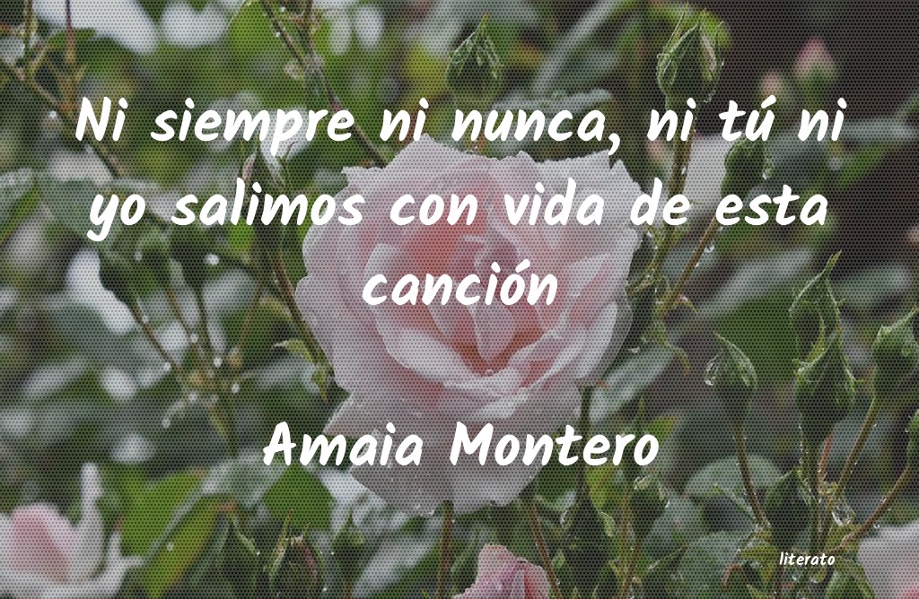 frases de Amaia Montero