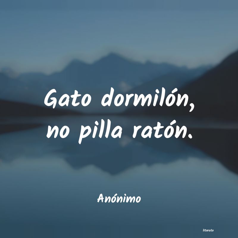 frases