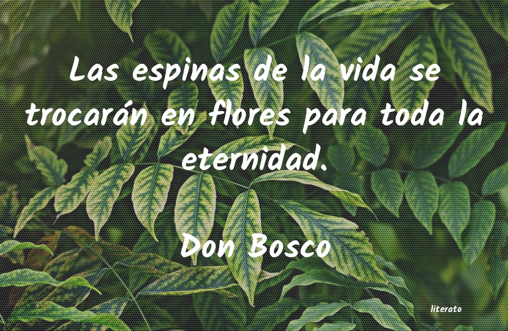 Frases de Don Bosco