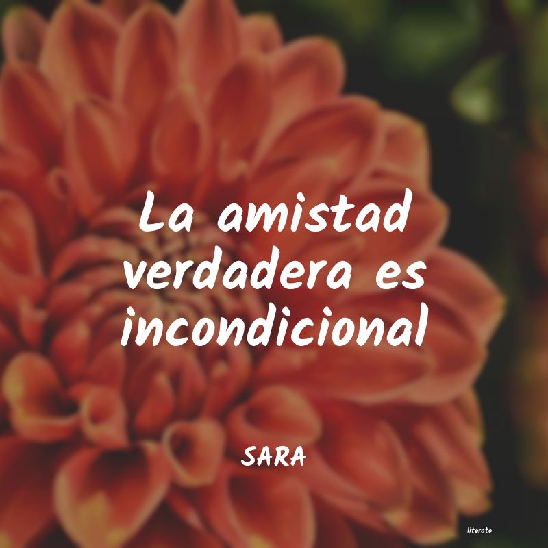 Frases de SARA