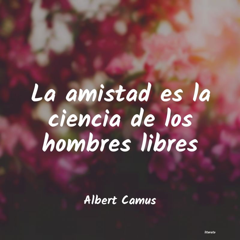 Frases de Albert Camus