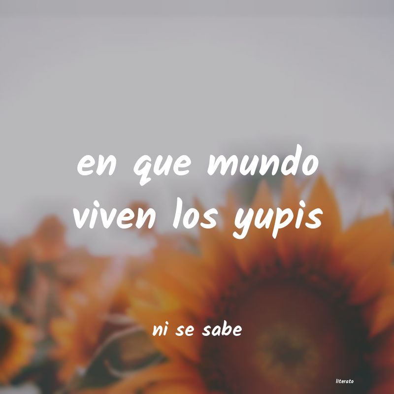 frases de ni se sabe