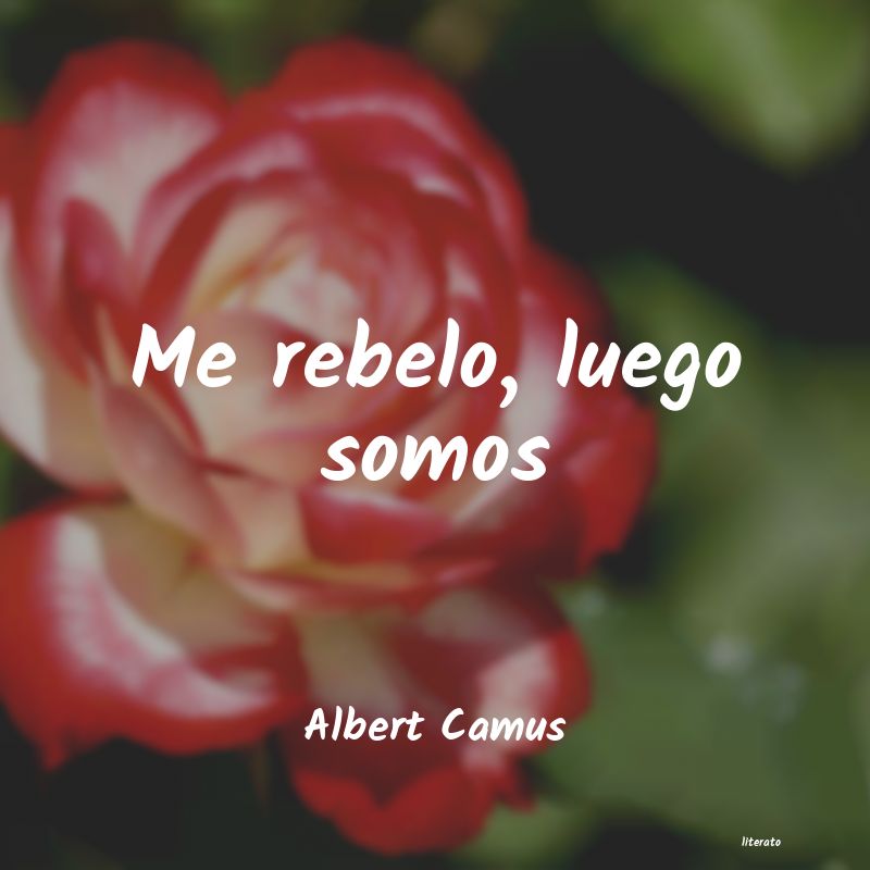 frases de Albert Camus