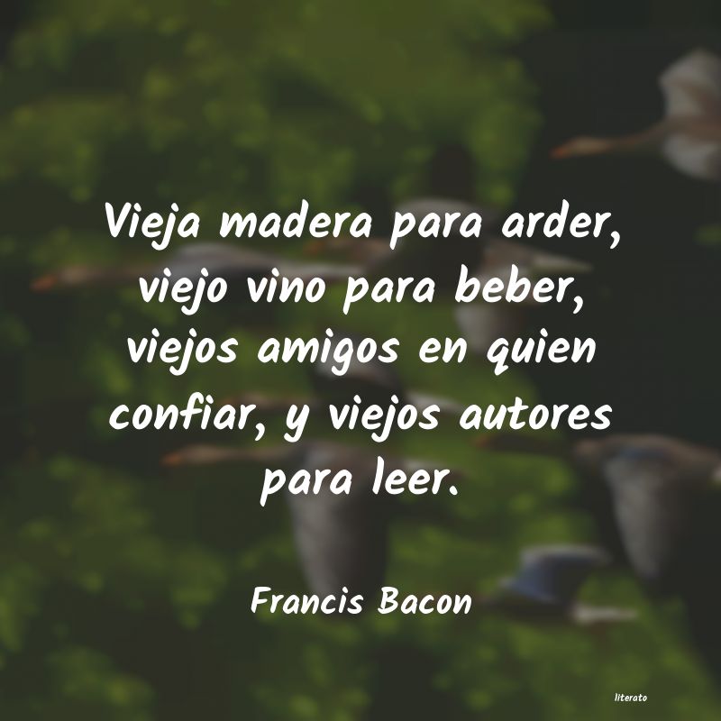 frases para motivar a leer