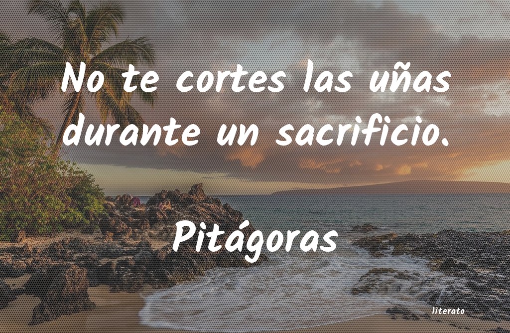 frases de Pitágoras