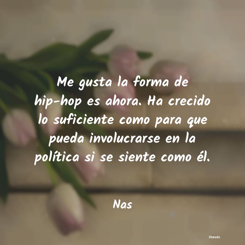 Frases de Nas