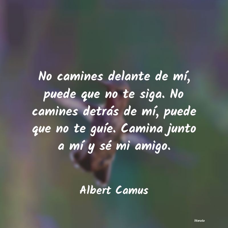 Frases de Albert Camus