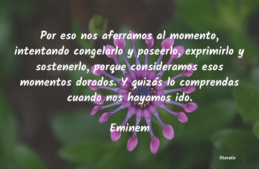 frases de Eminem