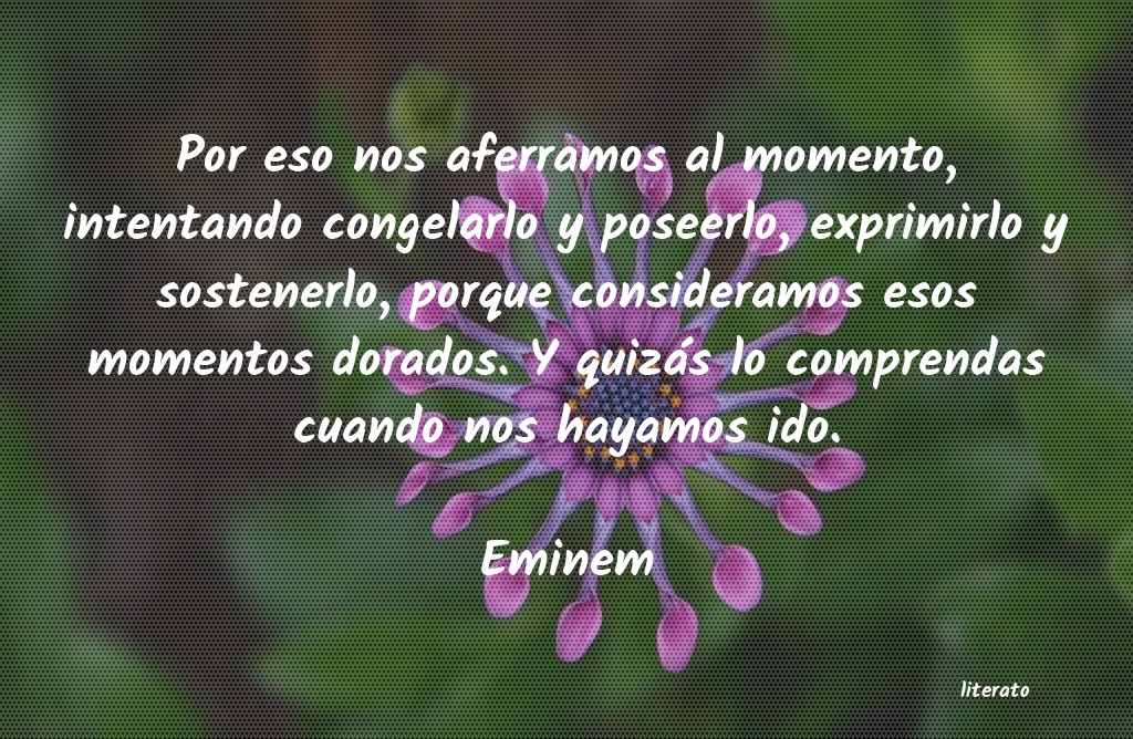 Frases de Eminem