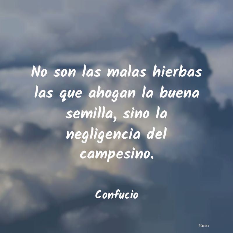 Frases de Confucio