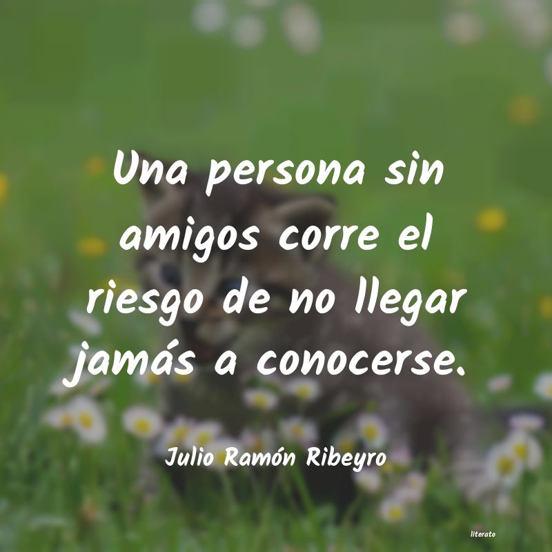 Frases de Julio Ramón Ribeyro