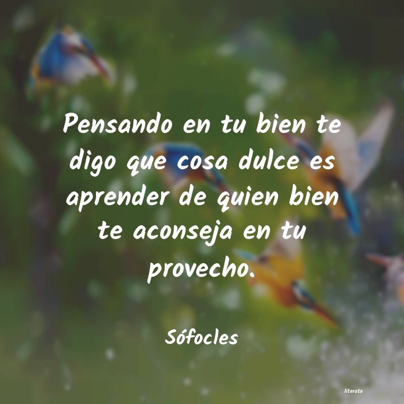 frases de SÃ³focles