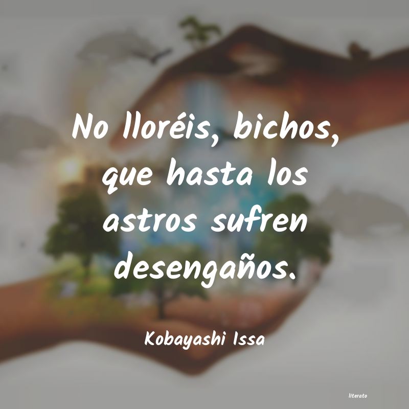 frases de Kobayashi Issa