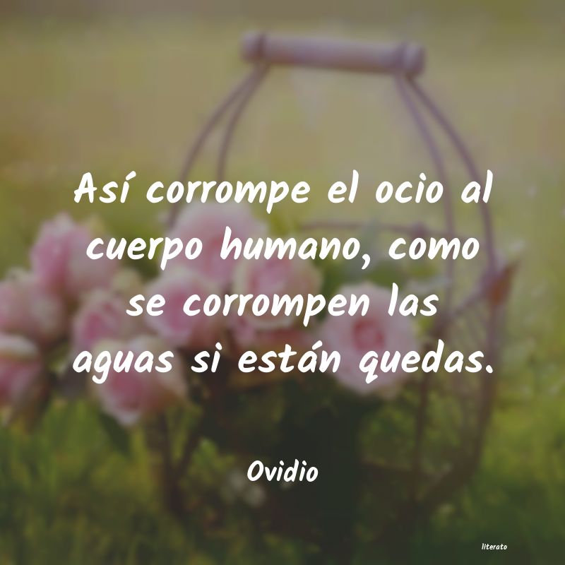 frases de Ovidio