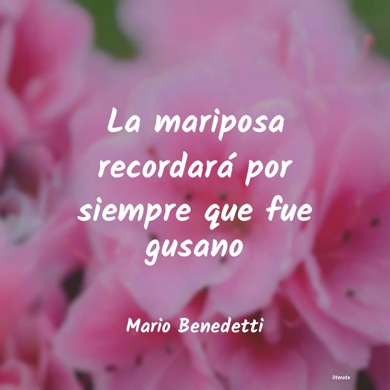 Frases de Mario Benedetti