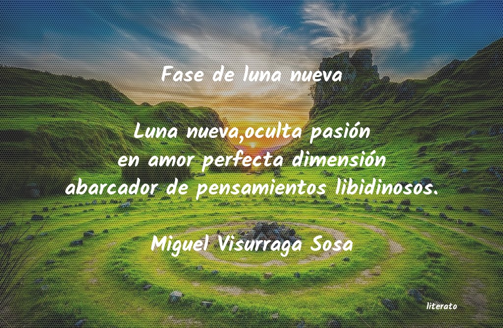 frases de Miguel Visurraga Sosa