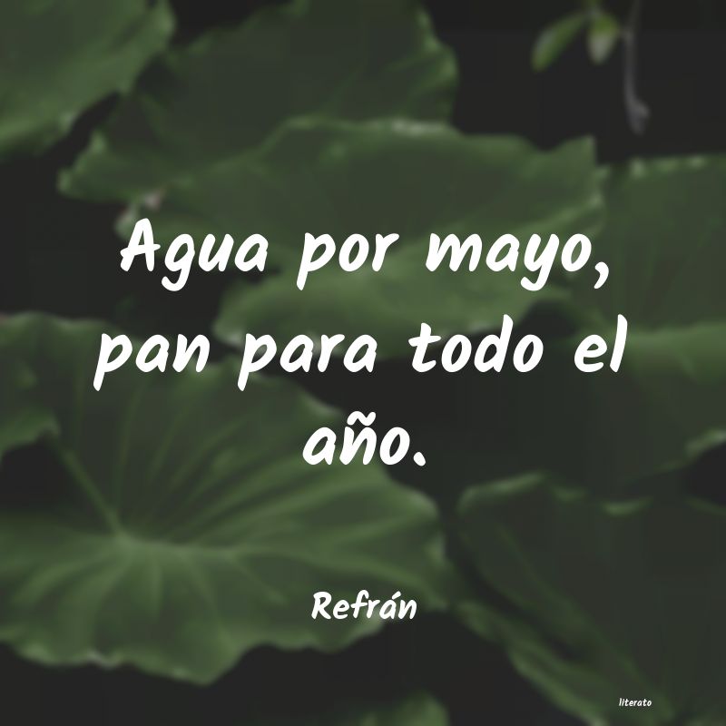 frases de Refrán