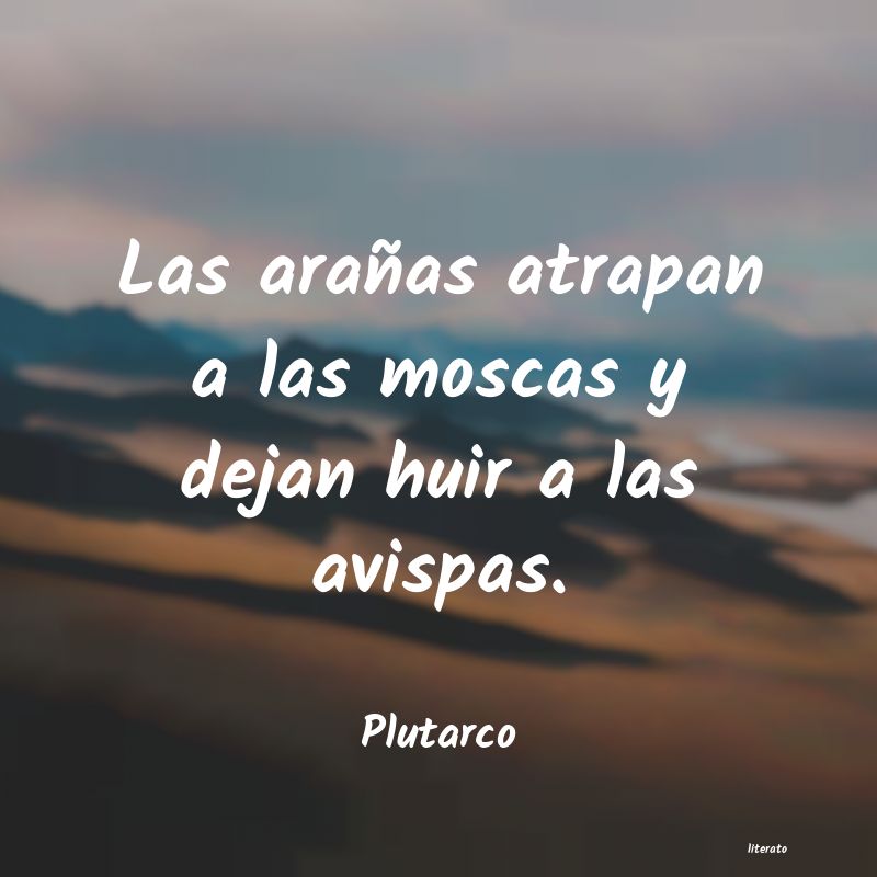 Frases de Plutarco