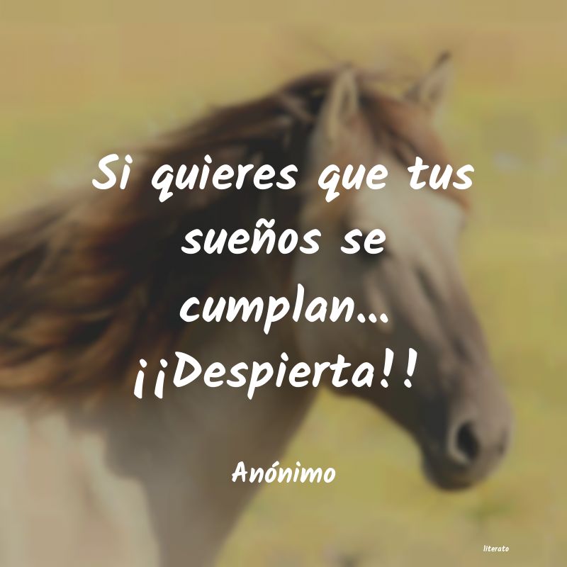 frases