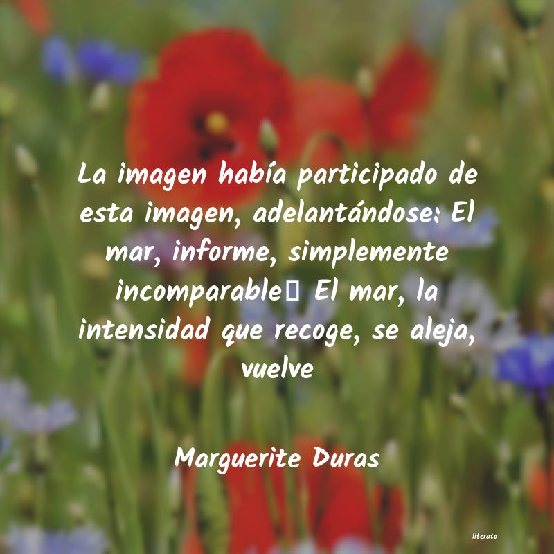 Frases de Marguerite Duras