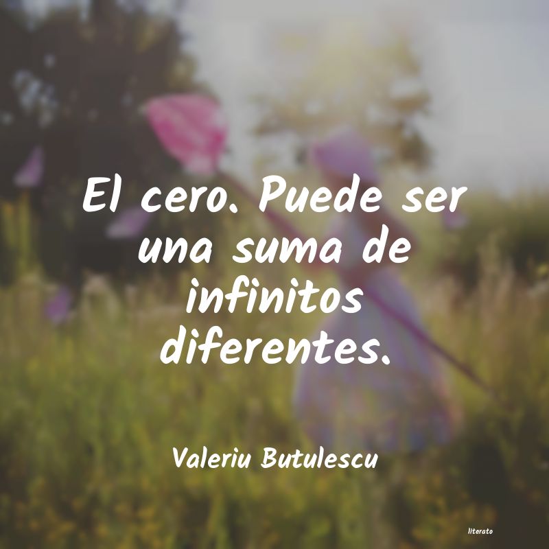 Frases de Valeriu Butulescu