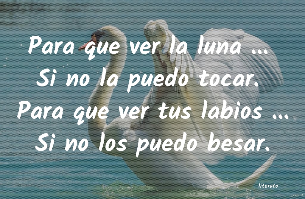 tocar