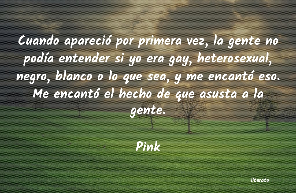 frases de Pink