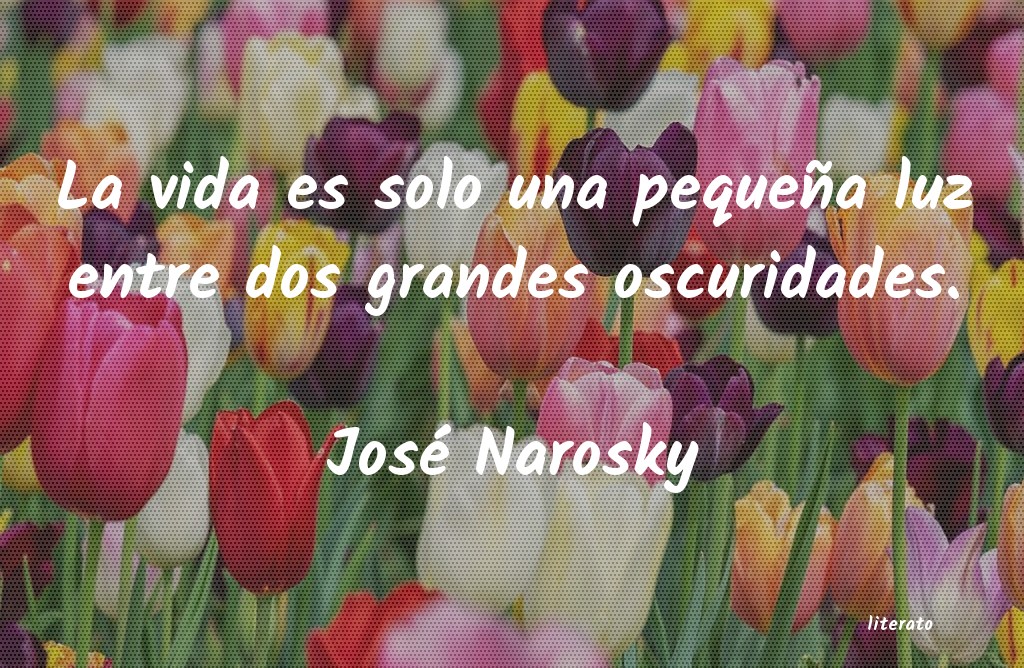 Frases de José Narosky